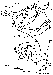 aladin-duch.gif